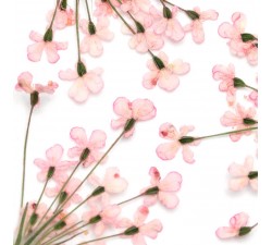 Suszone kwiaty - różowe Indigo